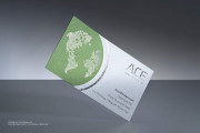 Frost Plastic Visiting Card 3