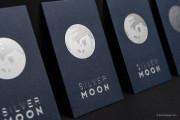 Silver foil moon template 3