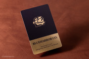 uv-printing-navy-blue-brushed-gold-quick-nfc-pvc-plastic-business-card-template-863002-blueharbor-rockdesign-image-03
